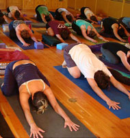Seattle Yoga Arts students in pranam