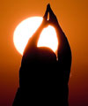 Sunrise Yoga